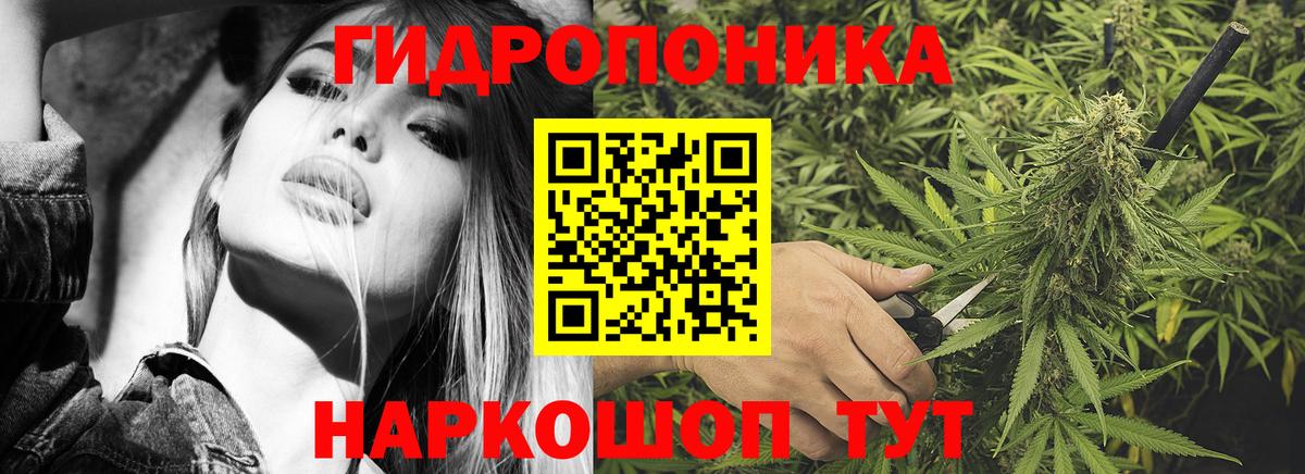 Жуковский  Бошки марихуана ГИДРОПОН  Марихуана сатива  Шишки марихуана SATIVA & INDICA  Вход с VPN  Бошки Шишки OG Kush 